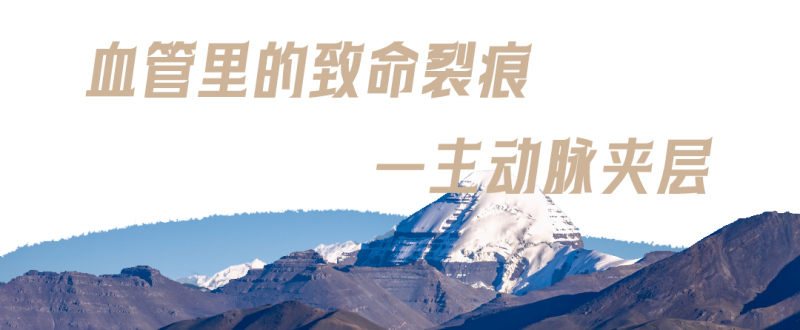 微信图片_2025-08-01_144800_860.png